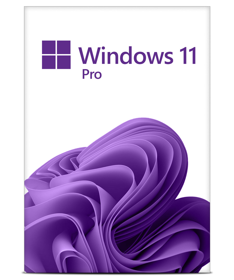 Aktivierungsschlüssel für Windows 11 Pro - ESD (DLO-841110105000)